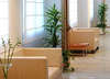 Tryp Almussafes 